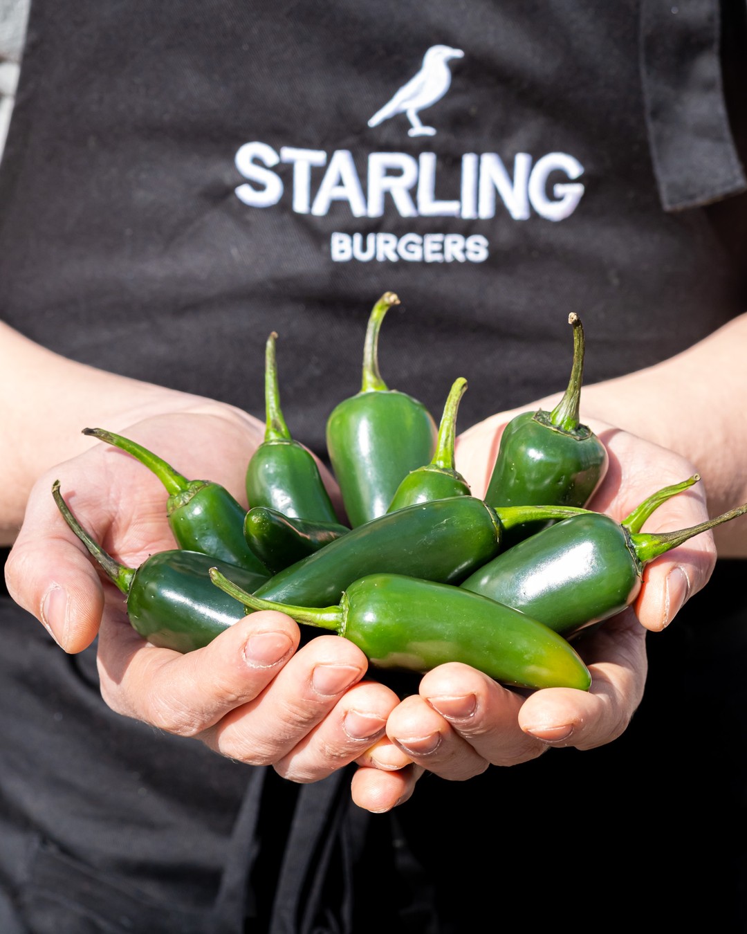 Jalapeño poppers